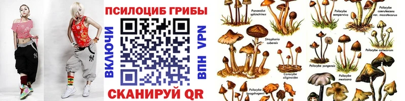 Псилоцибиновые грибы мицелий  Симферополь 