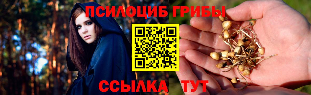 Симферополь  Галлюциногенные грибы мицелий  Вход с VPN 